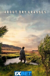 About Dry Grasses