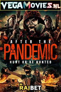 After the Pandemic