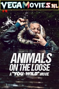Animals on the Loose