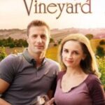 Autumn in the Vineyard 2016