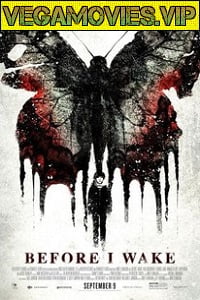 Before I Wake