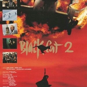 Black Cat 2