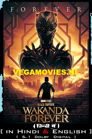 Black Panther Wakanda Forever 2022 Movie