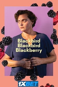 Blackbird Blackbird Blackberry