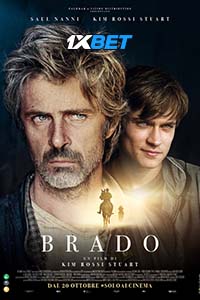 Brado