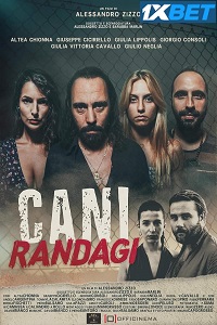 Cani randagi