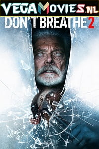 Dont Breathe 2 2021 poster