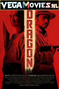 Dragon 2011