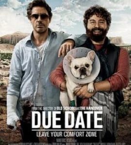 Due Date 2010 1