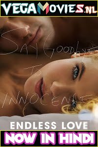 Endless Love 2014 poster