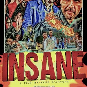 Insane 2015 poster