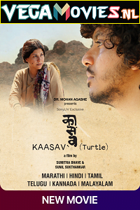 Kaasav Turtle 2017