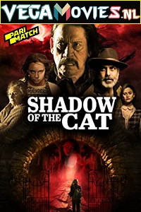 La Sombra Del Gato