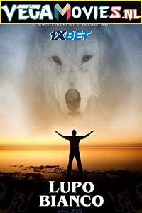 Lupo Bianco