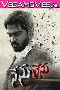 Nenu Lenu movie