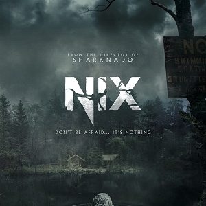 Nix 2022