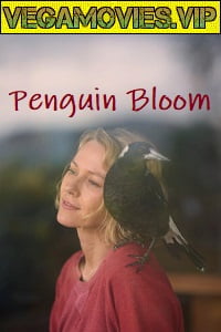 Penguin Bloom 2020