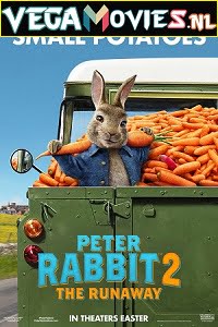 Peter Rabbit 2 poster