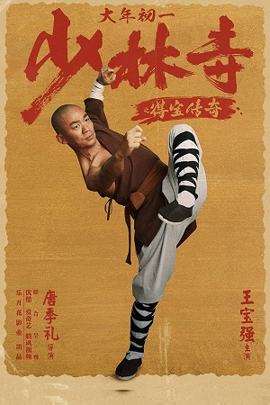 Rising Shaolin The Protector poster
