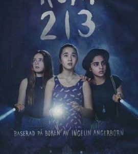 Rum 213 2017