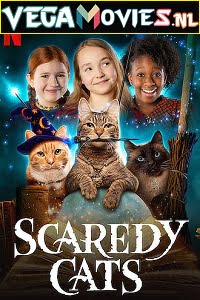 Scaredy Cats
