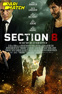 Section 8