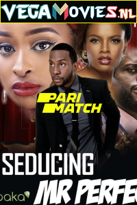 Seducing Mr. Perfect