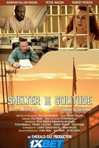 Shelter in Solitude