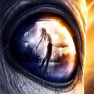 Sightings 2017