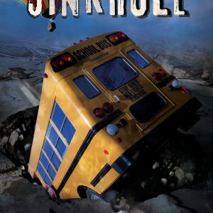 Sink Hole 2013