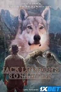 Son of the Wolf