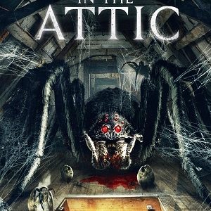 Spider In The Attic 2021