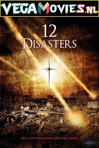 The 12 Disasters of Christmas poster