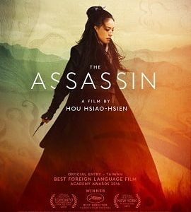 The Assassin 2015