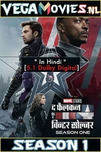 The Falcon And The Winter Soldier Hindi s01