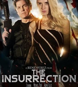The Insurrection 2020