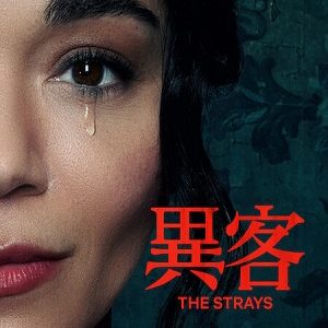The Strays 2023 posters