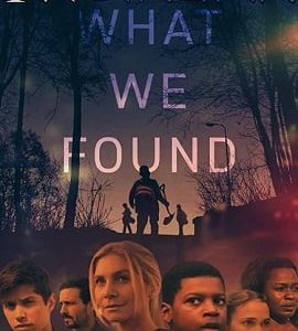 What We Found 2020