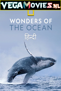 Wonders of the Ocean 2021