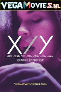 XY 2014